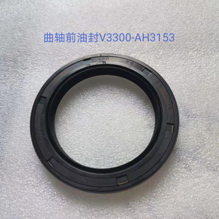 Caterpilar အတွက် လက်ကား NAK Hydraulic Pump Shaft Oil Seal V3300-AH3153